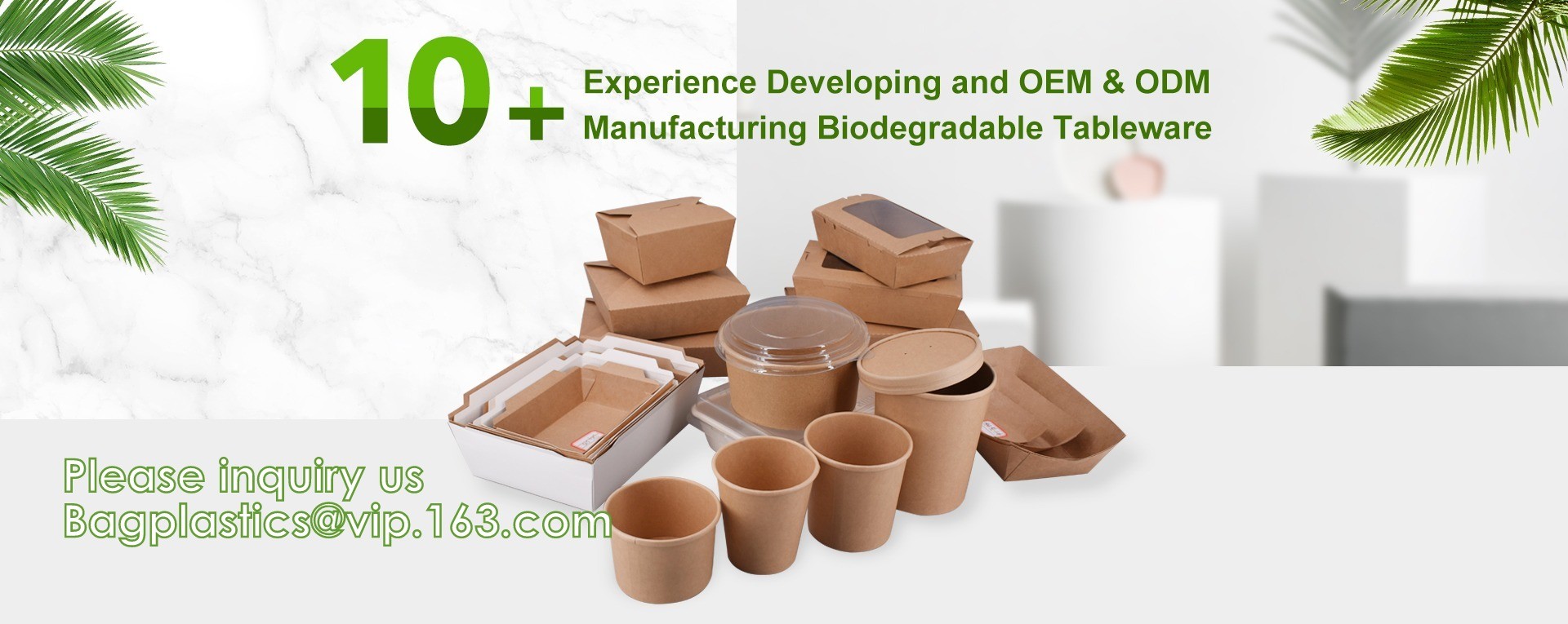 calidad Artículos de mesa biodegradables fábrica