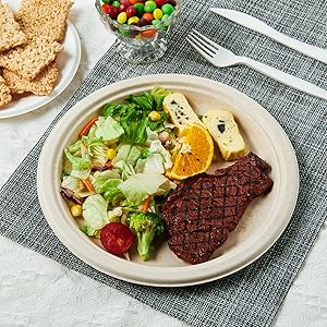 Platos de papel de 10 pulgadas 100% compostables, platos de papel de trabajo pesado, ca&ntilde;a de az&uacute;car biodegradable desechable ecol&oacute;gica 3