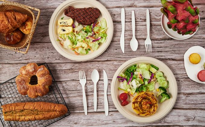 Platos de papel de 10 pulgadas 100% compostables, platos de papel de trabajo pesado, ca&ntilde;a de az&uacute;car biodegradable desechable ecol&oacute;gica 4