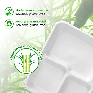 5 placas de compartimiento, 125 paquetes de placas de papel desechables, placas de caña de azúcar biodegradables, escuela ecológica 1