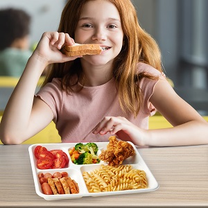 5 placas de compartimiento, 125 paquetes de placas de papel desechables, placas de caña de azúcar biodegradables, escuela ecológica 4