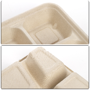 5 Compartimiento bandeja de comida de merienda caña de azúcar plato de bagaje plato desechable plato blanco ecológico plato de bagaje natural 2