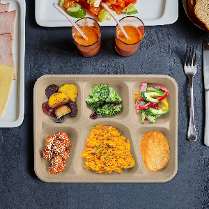 5 Compartimiento bandeja de comida de merienda caña de azúcar plato de bagaje plato desechable plato blanco ecológico plato de bagaje natural 3