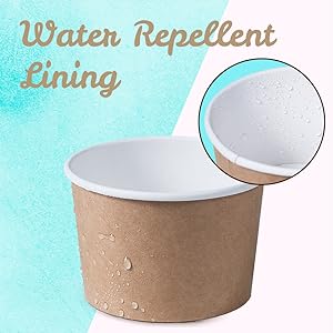 Paper Ice Cream Cups