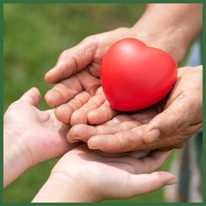 Bolsas de pan grandes, 13.7 X 8.2 X 3.5 pulgadas Bolsas de pan de papel de Kraft con ventanas de lata Cerradura de pestaña Bolsas de pan grandes 7