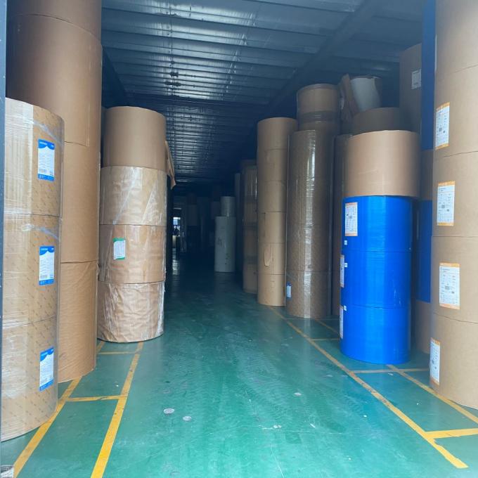 Fabrica impermeable a la grasa impermeable a la agua de pared única doble PE revestido de papel kraft rollo de grado alimenticio materia prima para tazas de papel 2