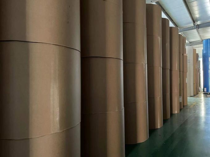 Fabrica impermeable a la grasa impermeable a la agua de pared única doble PE revestido de papel kraft rollo de grado alimenticio materia prima para tazas de papel 3