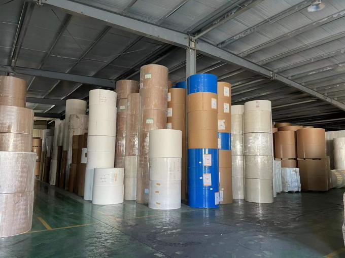 Fabrica impermeable a la grasa impermeable a la agua de pared única doble PE revestido de papel kraft rollo de grado alimenticio materia prima para tazas de papel 5