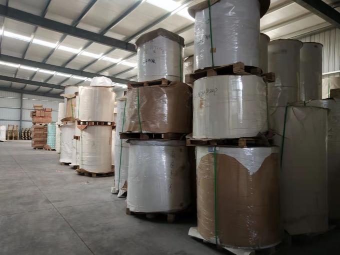 Fabrica impermeable a la grasa impermeable a la agua de pared única doble PE revestido de papel kraft rollo de grado alimenticio materia prima para tazas de papel 6