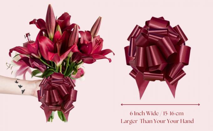 Arcos de embalaje de regalo de Pascua, grandes 6 pulgadas Arcos de embalaje de regalo variados, para cesta de regalo, decoración de envoltura de la caja de bolsas de regalo 2