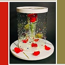 Cajas altas de pastel transparente con cinta - Caja de pastel redonda de oro para pastel de cumpleaños. 2