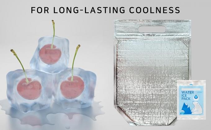 Bolsa de almuerzo aislada con cerradura y manija, bolsas de frío y térmicas reutilizables, bolso de enfriamiento, caliente y frío, ideal para sándwich 12