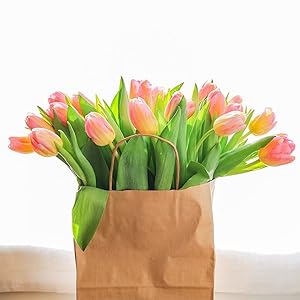 Bolsas de papel Kraft, 5.4"X3.3"X13" Bolsas de vino marrón reciclables Bolsas de regalo de papel Bolsas de venta al por menor Bolsas de envío con manijas a granel 5